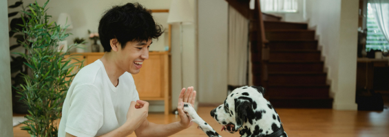 young boy with black hair and white t-shirt, high fiving dog.